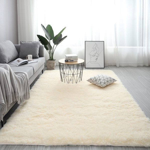 tapis doux chambre élégant