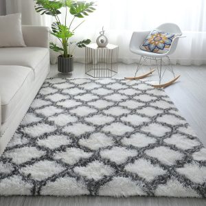grand tapis de chambre