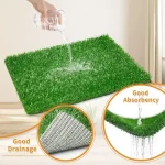 ambiance tapis gazon