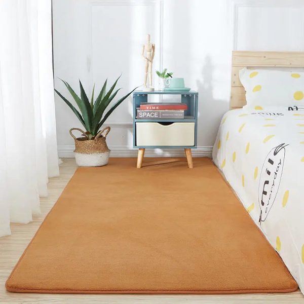 tapis de chambre marron