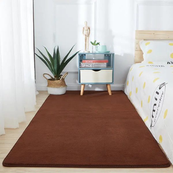 tapis de chambre brun